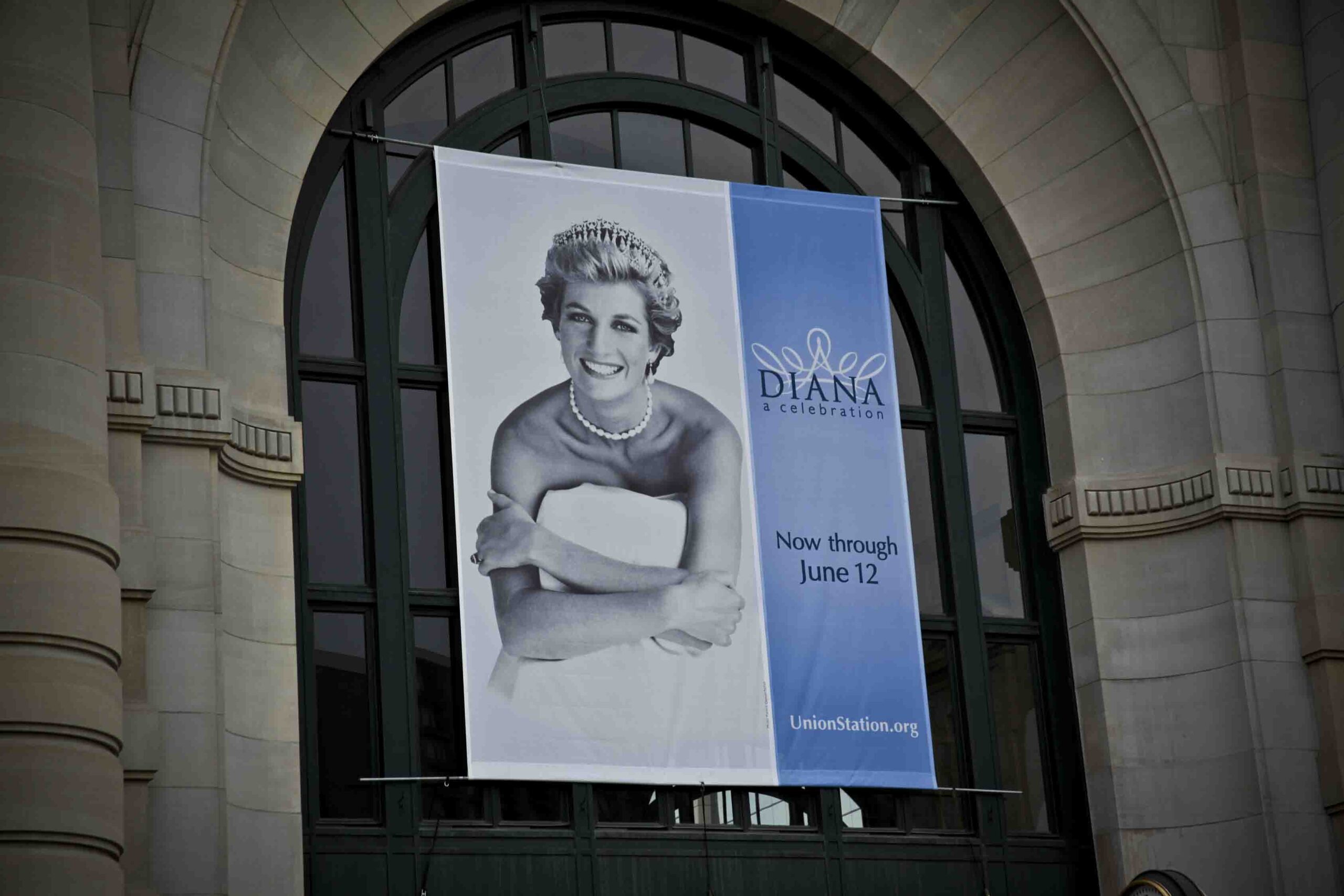 dynamic-displays-diana-banner[1]