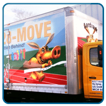 Vehicle Graphics